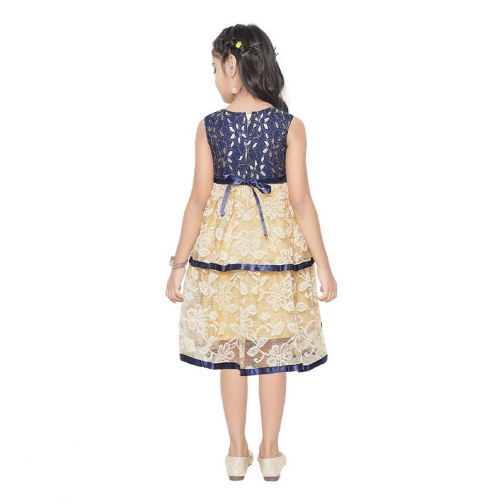 Generic Girl's Fancy Net Net Sleeve Less Round Neck Dress (Blue)